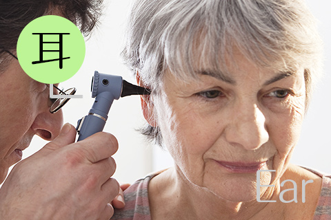 メディカルコート池田耳鼻咽喉科 耳の症状